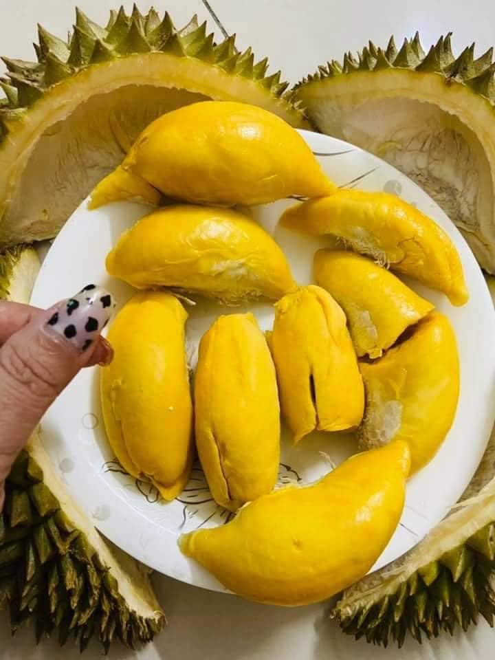 uy nhiên, theo một số tiểu thương có kinh nghiệm, giá sầu Fumoni Thái Lan luôn cao hơn một số loại sầu khác. Người tiêu dùng không nên ham rẻ mà phải chọn địa chỉ quen, uy tín, tránh mua phải hàng kém chất lượng.