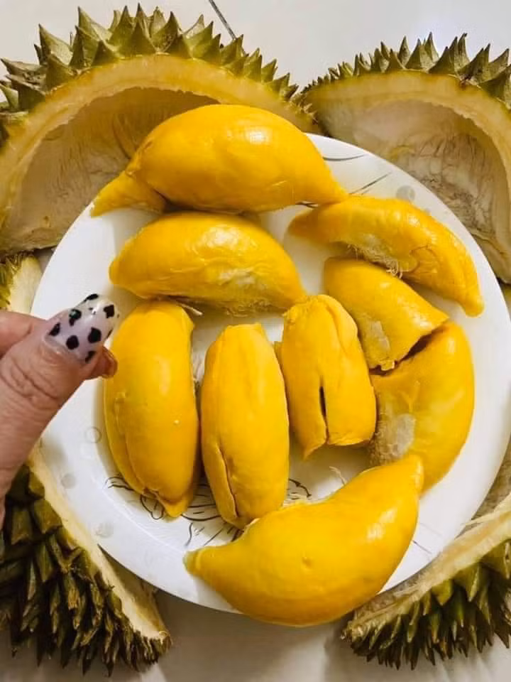 uy nhiên, theo một số tiểu thương có kinh nghiệm, giá sầu Fumoni Thái Lan luôn cao hơn một số loại sầu khác. Người tiêu dùng không nên ham rẻ mà phải chọn địa chỉ quen, uy tín, tránh mua phải hàng kém chất lượng.