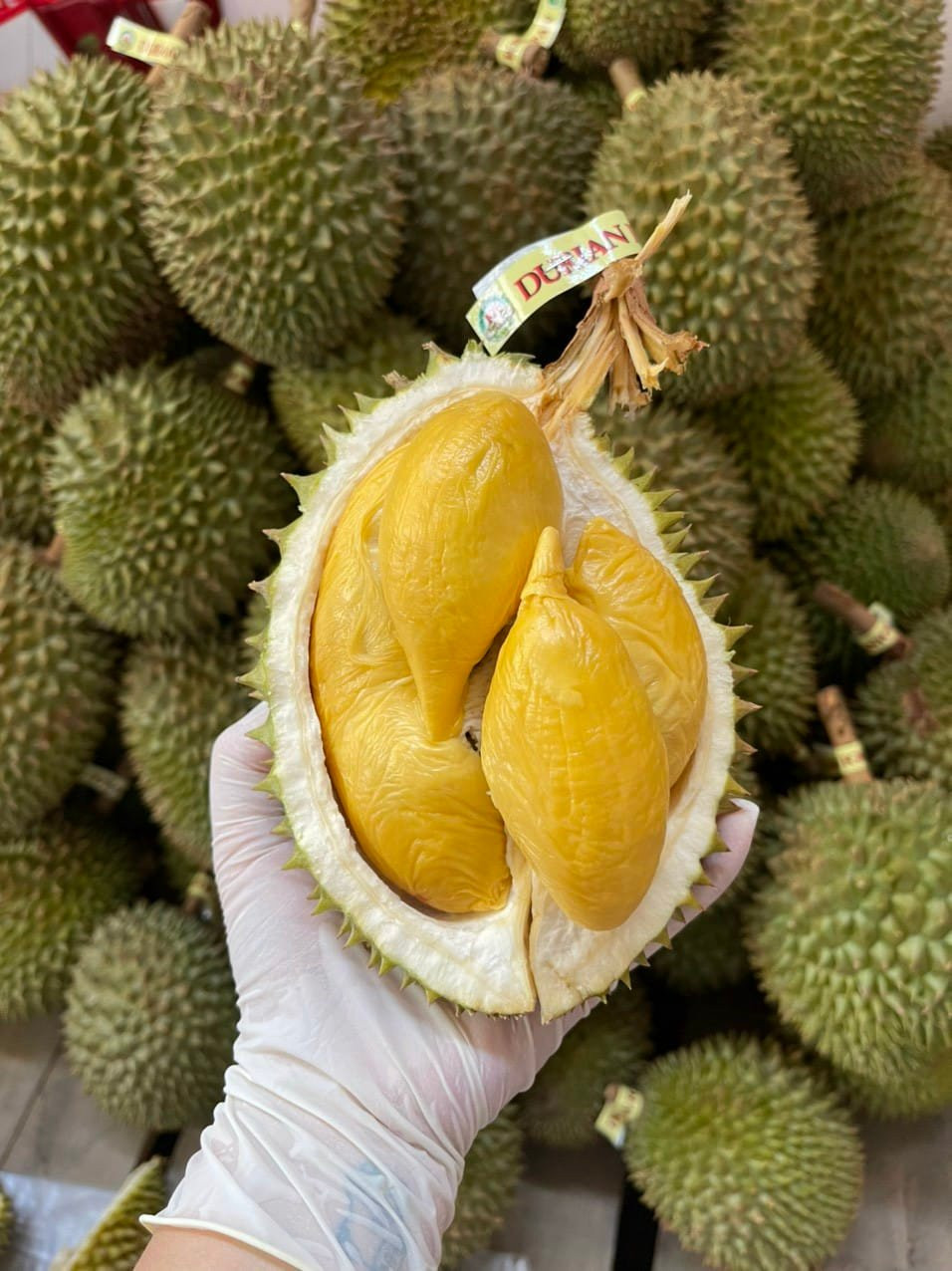 Theo người bán, đây là sầu riêng Fumoni Thái Lan, loại sầu đỉnh cao trong các loại sầu, chỉ đứng sau Musaking.