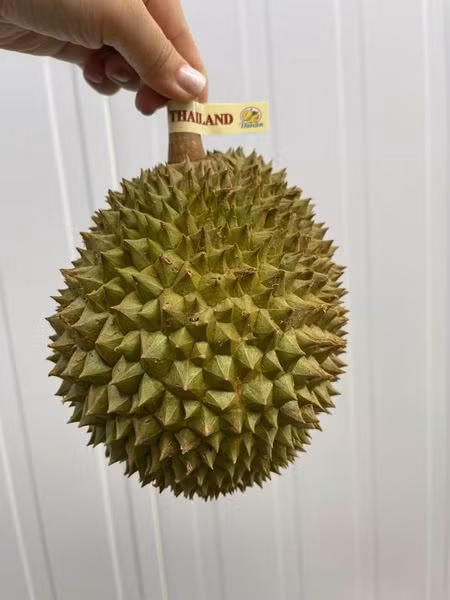 Với trọng lượng chỉ từ 0,5-1,2 kg/quả, sầu riêng mini Thái Lan đang “làm mưa làm gió” trên chợ mạng khiến nhiều chị em tò mò đặt về ăn thử.