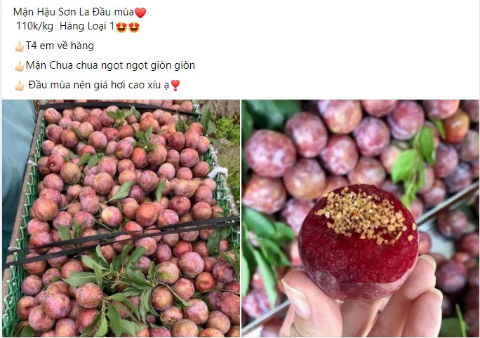 Dat gap 5 lan chinh vu, man hau Son La dau mua van chay hang