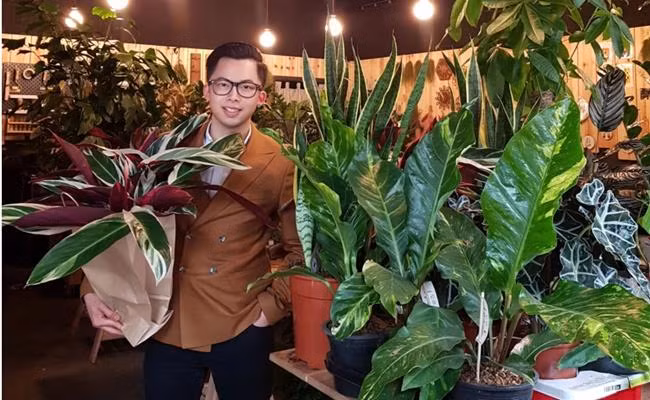 Ban đầu, Việt Đàm trồng vài chậu rau thơm (bạc hà, rosemary, thyme...), cây tùng thơm hay phong lan với mức giá bình dân. Ảnh: Viet Dam