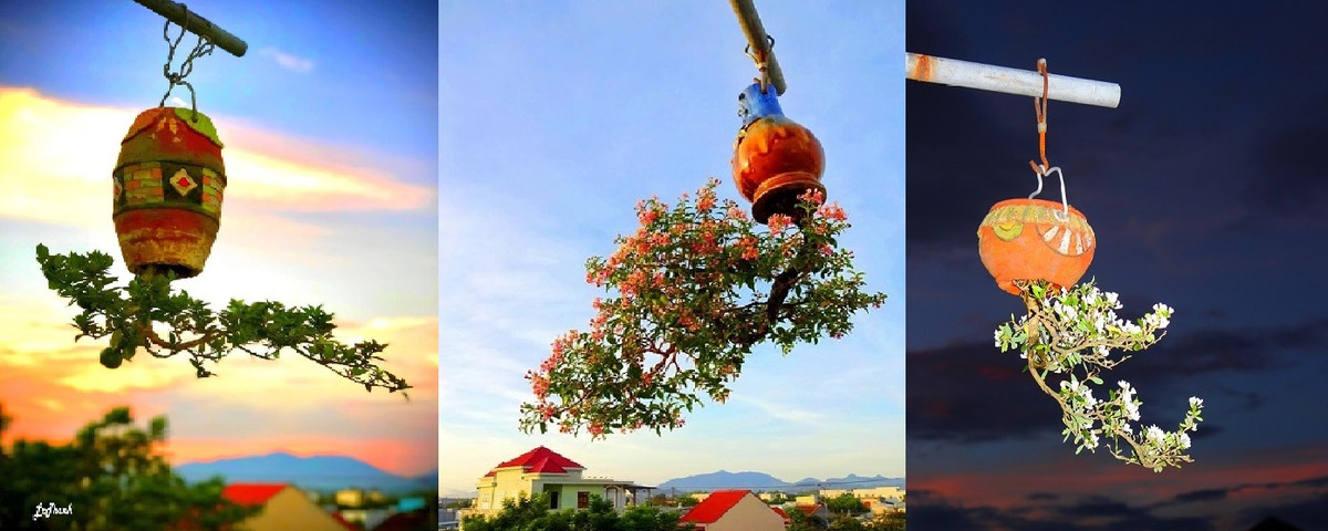 Với việc sáng tạo những cây bonsai mọc ngược độc nhất vô nhị, ông Lê Thạnh được xem là “dị nhân” trong làng chơi cây cảnh. Ảnh: Kyluc