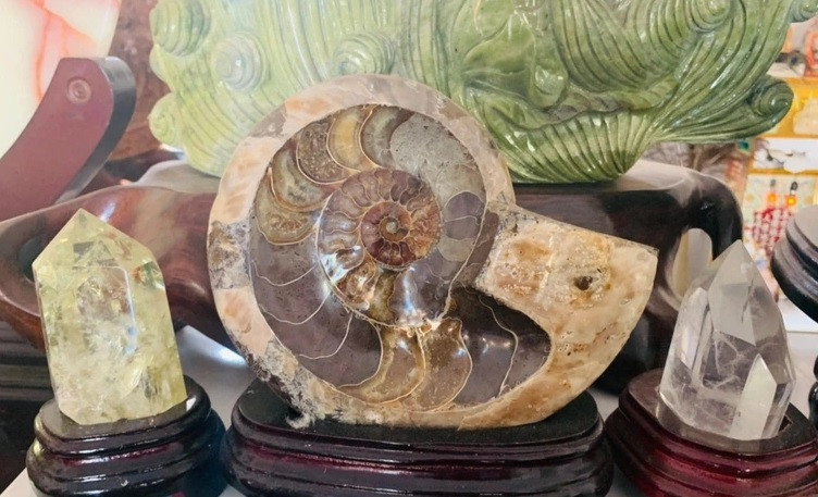 Nhiều tác phẩm được ông giữ nguyên vẻ đẹp nguyên sơ, ban đầu của khối đá, cũng có tác phẩm được gia công thành những tác phẩm nghệ thuật. Ảnh: Dân trí