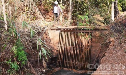 Ngam thuy dien co o Tay Nguyen 70 nam van chay tot-Hinh-3