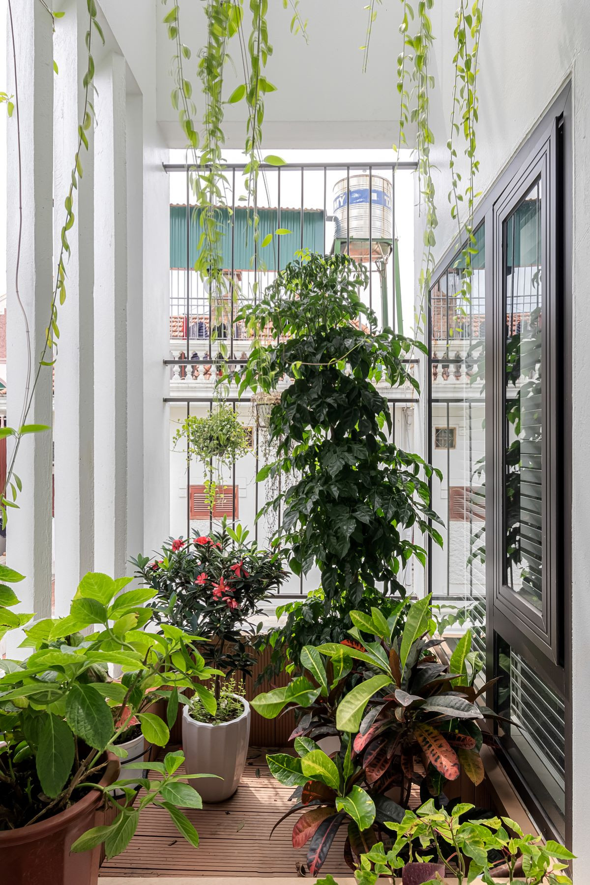 Phía sau căn nhà, có một khoảng thông tầng cho tầng 3 và 4, cũng là nơi chủ nhà trồng cây, tạo không gian xanh. Nguồn ảnh: T-architects