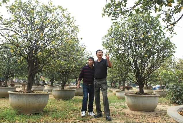 Mỗi ngày vườn cây của anh Toàn thu hút hàng đoàn khách yêu cây từ khắp mọi miền đất nước đến tham quan, thưởng lãm. Ảnh: Dân trí