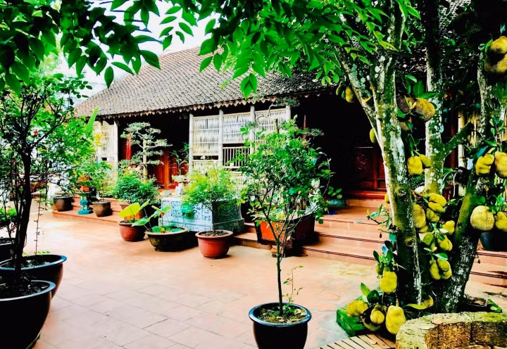 Nam danh hài ưu tiên ướm các giống cây ăn quả như mít, bưởi....Ảnh: VTCNews