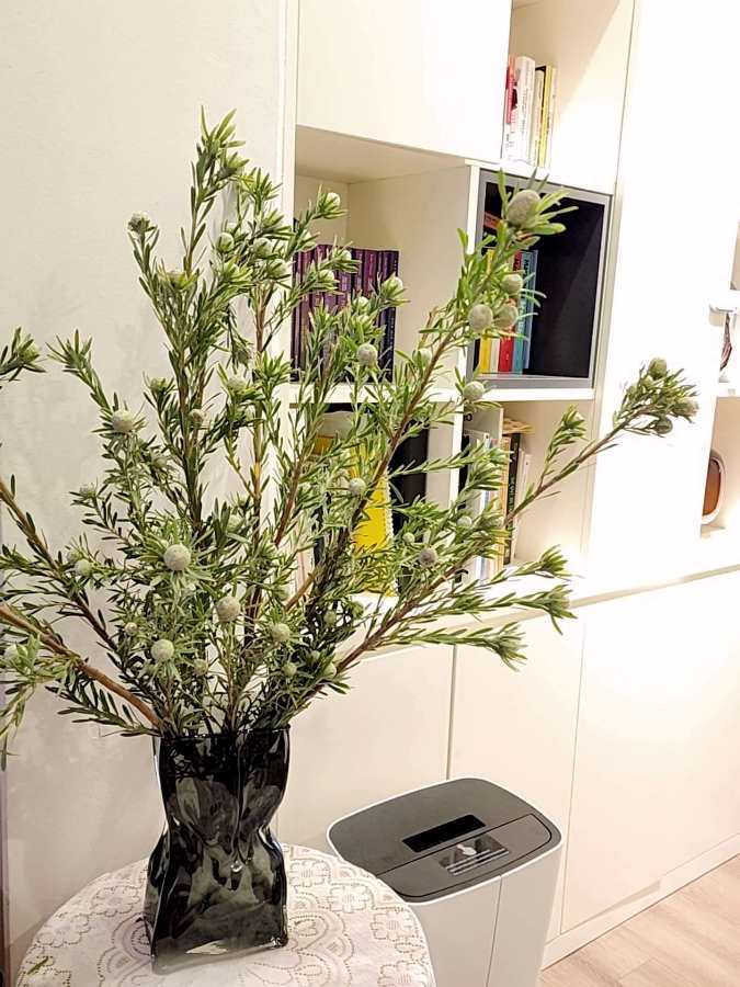 Mỗi cành thông đá dài chừng 80cm đến 1m. Đặc biệt, thông đá có thể cắm chơi bền cả tháng. Ảnh: Infonet