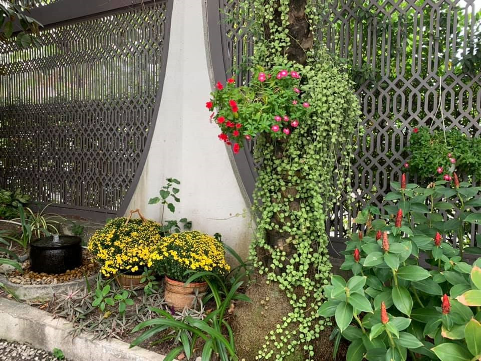 Hàng rào được bao phủ bởi nhiều mảng xanh.