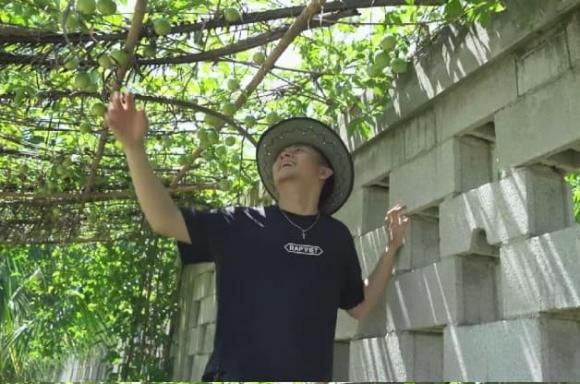 Trường Giang cũng trồng nhiều loại trái cây, rau củ trong khu vườn. Ảnh chụp màn hình