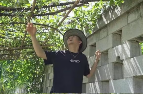 Trường Giang cũng trồng nhiều loại trái cây, rau củ trong khu vườn. Ảnh chụp màn hình