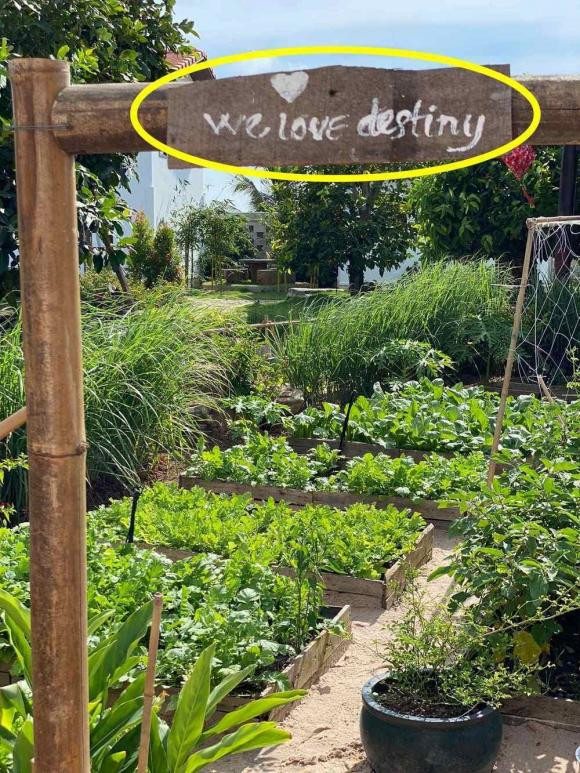 Không gian xanh mang đến cảm giác dễ chịu. Ảnh chụp màn hình