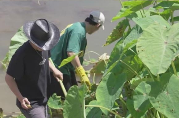 Phía sau khu nhà còn có một dòng suối, được trồng một số loại rau dọc theo hai bờ tươi xanh. Ảnh chụp màn hình