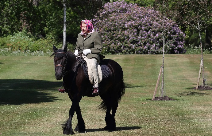 Khu đất rộng 50.000 mẫu Anh bao gồm đồng cỏ, rừng và đất nông nghiệp, cũng như có nhiều đàn gia súc như hươu, ngựa con,...Ảnh: Getty