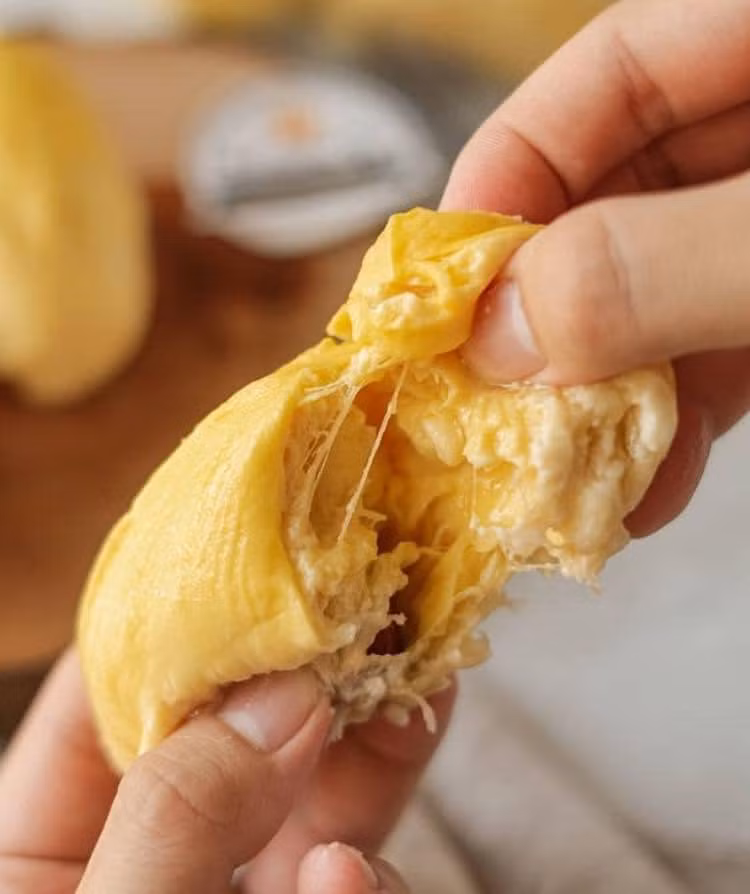 Sầu riêng Musang King không nồng, không đắng như những giống sầu riêng thông thường khác. Hạt lép chứ không tròn như nhiều loại khác nên cảm giác khi cắn sẽ đã miệng hơn. Ảnh: Facebook