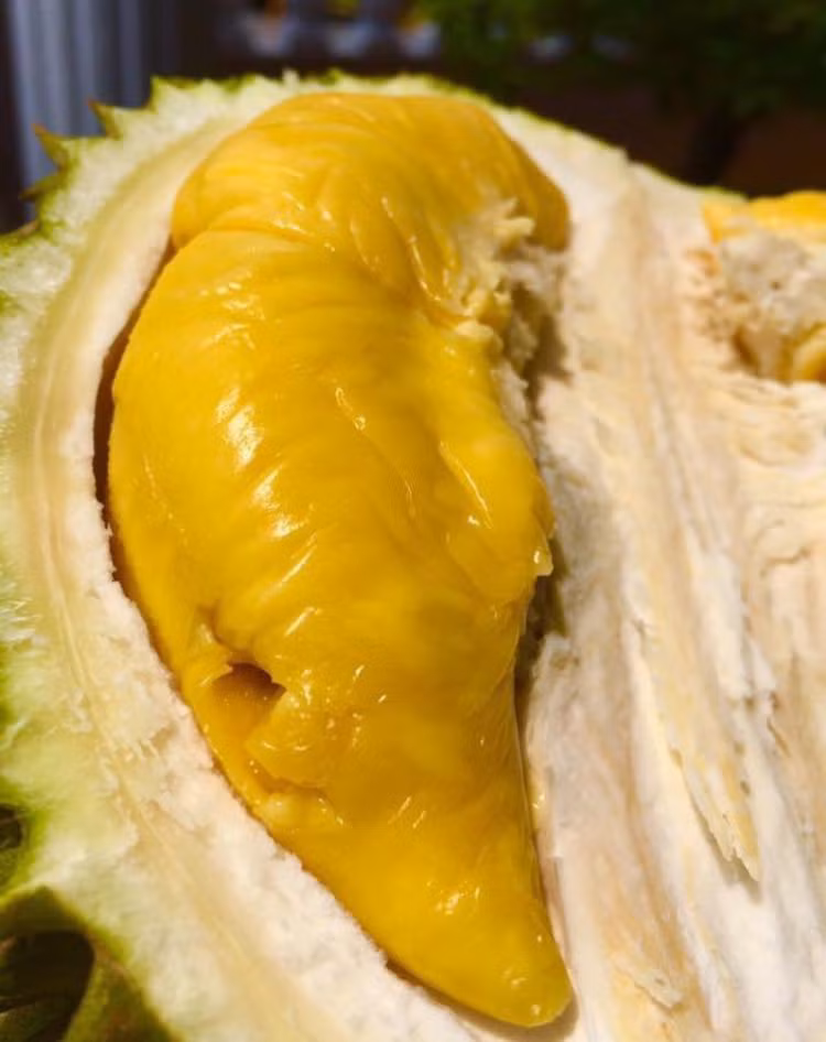 Sầu riêng Musang King Malaysia nhập khẩu về Việt Nam có giá hơn 1 triệu đồng/kg. Trong khi đó, giống sầu riêng này trồng tại Việt Nam giá gần 1 triệu đồng. Ảnh: Facebook