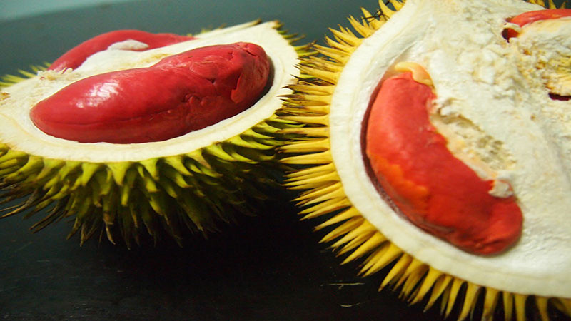 Khi về Việt Nam, sầu riêng ruột đỏ đội giá gấp nhiều lần, Nhiều nơi bán tới cả triệu đồng/kg. Ảnh: Bachhoaxanh