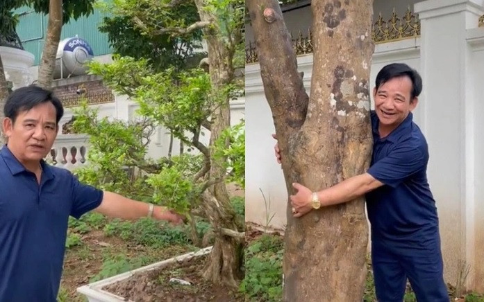 Khu vườn của nam nghệ sĩ có bưởi, xoài, mít.