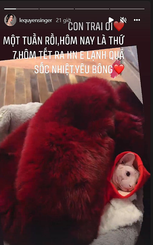 Hang hieu dat khong tuong nhung my nhan Viet lai dung theo kieu... “chang giong ai”