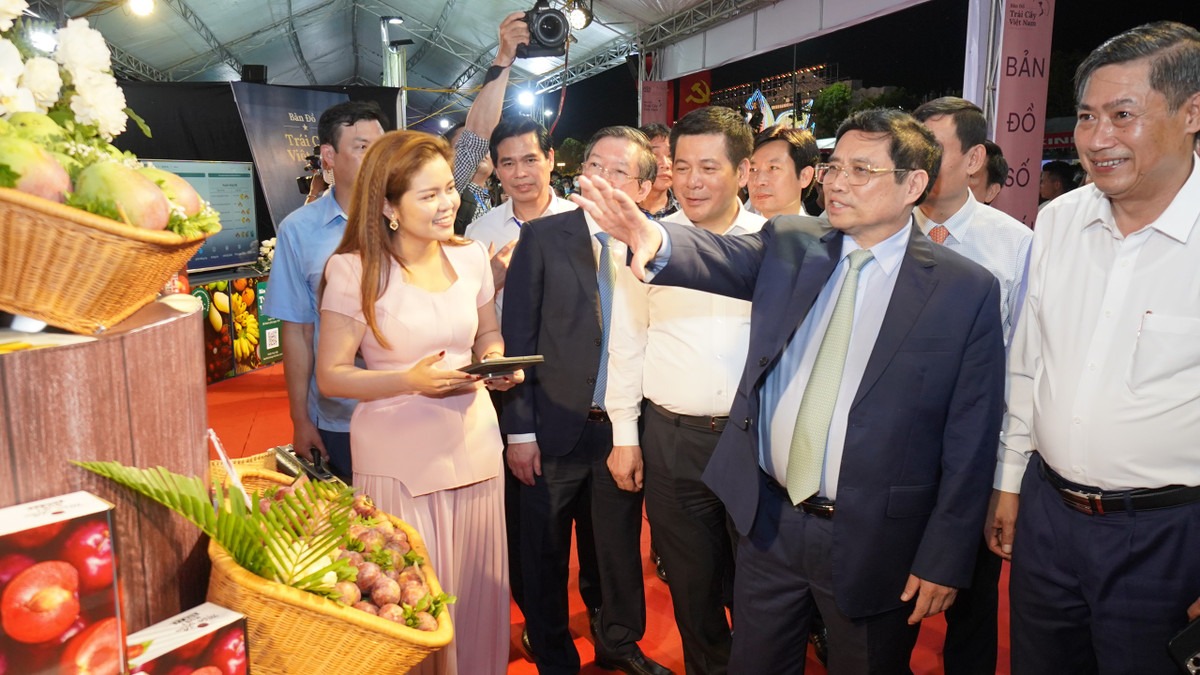 An tuong Ban do so hoa trai cay Viet Nam tai festival nong san Son La-Hinh-3