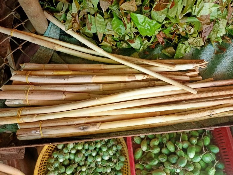 Từ đọt mây có thể chế biến thành nhiều món ngon như nướng, luộc, xào, làm gỏi...Ảnh: Internet