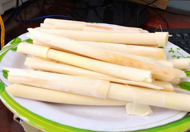 Hiện nay, diện tích rừng ngày càng hẹp nên đọt mây ngày càng hiếm. Mỗi kg đọt mây giá lên tới 100.000 - 120.000 đồng/kg. Ảnh: Internet