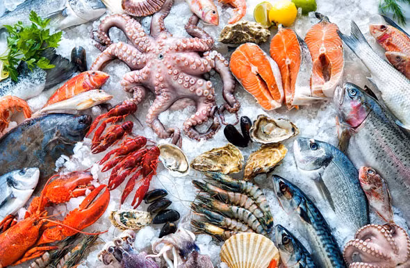 Ngoài ra, theo YouTuber Oanh Huỳnh, giá hải sản ở Dubai dường như rẻ hơn khá nhiều so với Việt Nam, chẳng hạn như mực 200.000 đồng/kg. Ảnh: Whaton