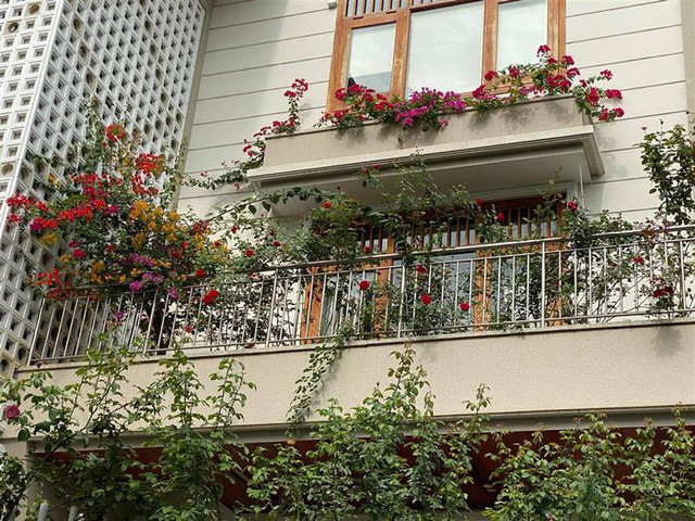 Hoa phủ kín mặt ngoài căn biệt thự của vợ chồng Quý Bình.