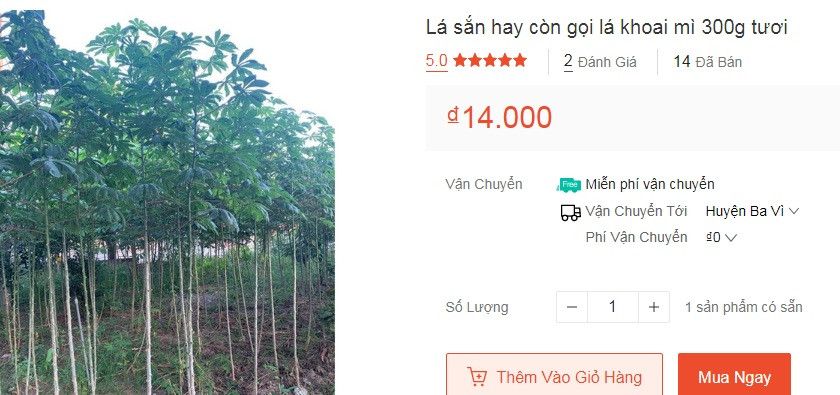 Ngày nay, trên chợ mạng và các sàn thương mại điện tử, lá sắn được rao bán nhiều và "đắt như tôm tươi". Ảnh chụpp màn hình