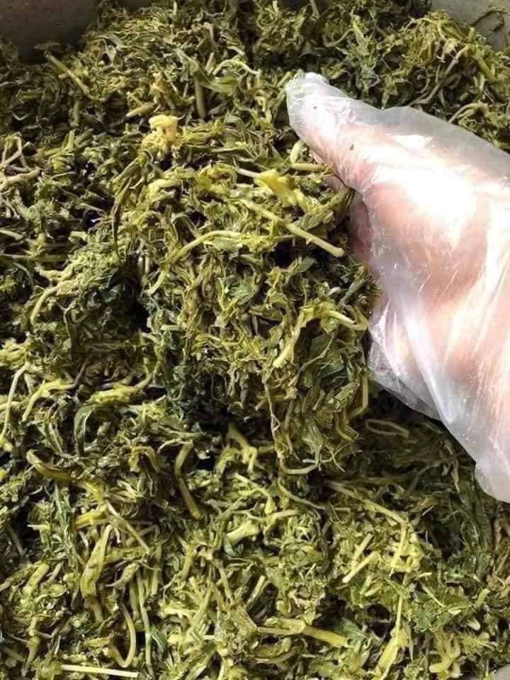 Chị Giang (quê ở Phú Thọ) chia sẻ: "Rau sắn muối chua là đặc sản ở Phú Thọ. Xưa ở quê tôi thường được mẹ nấu cho ăn nhiều. Giờ đây, tôi thường đặt mua trên chợ mạng về xào tỏi hoặc nấu tóp mỡ, ăn rất hao cơm".