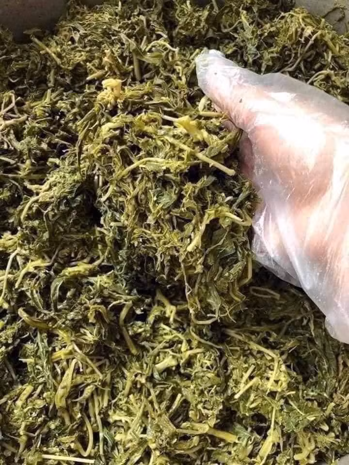 Chị Giang (quê ở Phú Thọ) chia sẻ: "Rau sắn muối chua là đặc sản ở Phú Thọ. Xưa ở quê tôi thường được mẹ nấu cho ăn nhiều. Giờ đây, tôi thường đặt mua trên chợ mạng về xào tỏi hoặc nấu tóp mỡ, ăn rất hao cơm".