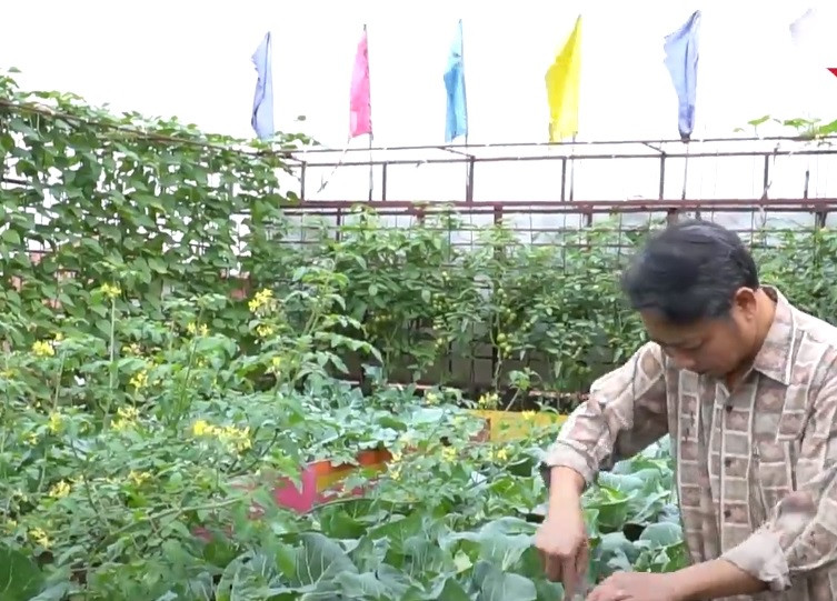 Mỗi ngày, anh dành ít nhất khoảng 2 tiếng để tưới nước, chăm sóc cho khu vườn. Với sâu bệnh, anh tự tay bắt bằng tay hoặc sử dụng dung dịch ngâm từ ớt, tỏi, muối, rượu thay vì thuốc trừ sâu hoá học. Ảnh chụp màn hình