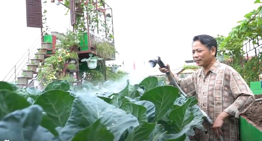 Không dùng nước máy, anh Khải thiết kế một đường nước riêng, dẫn nguồn nước giếng khoan để tưới rau. Ảnh: Vietnamnet