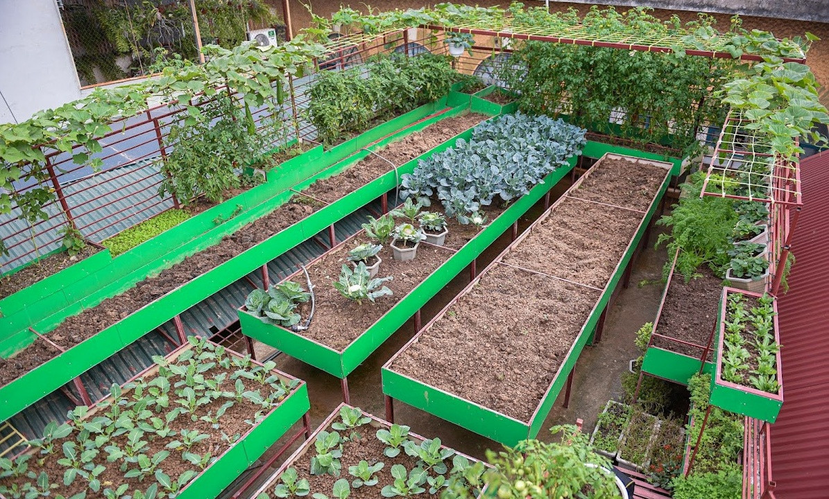 Đất được anh trộn với trấu, phân bò, phân trùn quế chia nhỏ vào từng khay và gieo những hạt. Ảnh: Dân trí