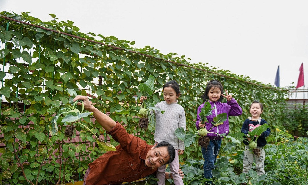 Lượng rau trái thu về mỗi ngày khá nhiều. Anh thường dành một ít để ăn, phần còn lại cho bếp ăn trường học của gia đình. Ảnh: Dân trí