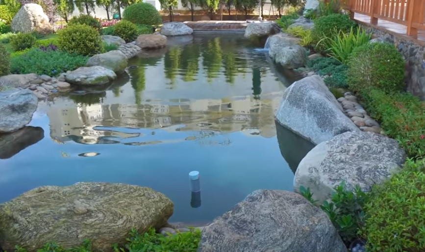 Phía trước ngôi nhà là một hồ nước thiết kế đẹp mắt.