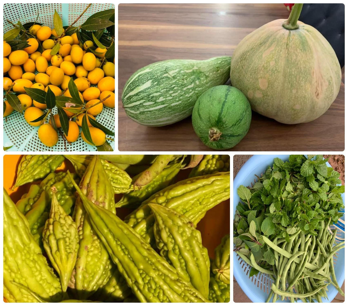 Nguyễn Thị Huyền cho biết, rau sạch và trái cây trồng quanh nhà là nguồn thực phẩm chính cho bữa ăn trong gia đình.