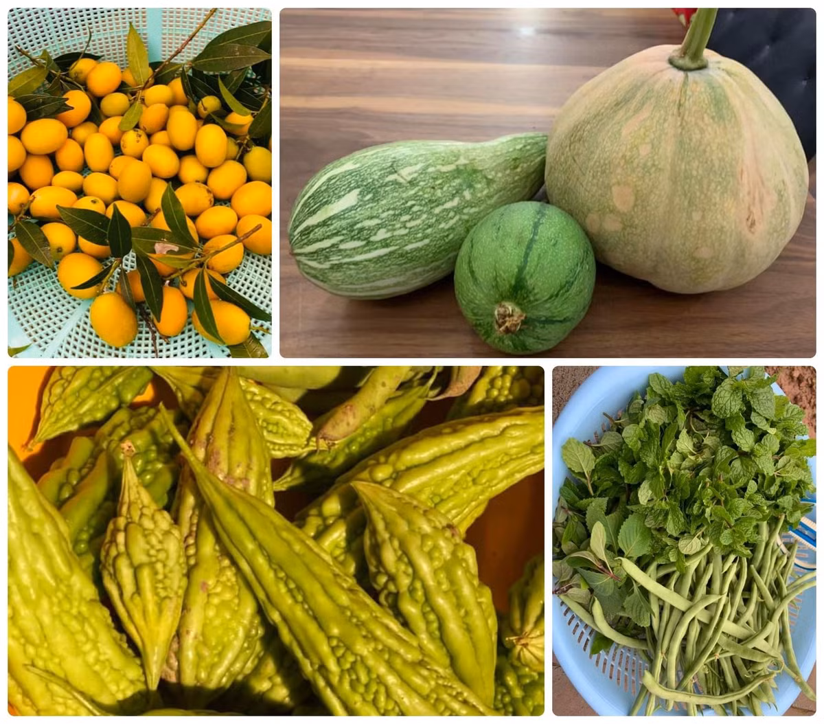 Nguyễn Thị Huyền cho biết, rau sạch và trái cây trồng quanh nhà là nguồn thực phẩm chính cho bữa ăn trong gia đình.