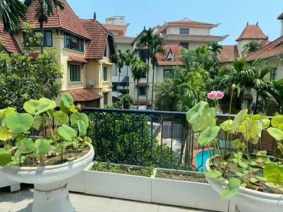 Trên sân thượng, Hoa hậu Nguyễn Thị Huyền trồng chủ yếu các loại hoa để trang trí.