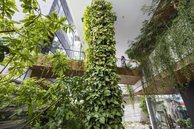 Dự án vườn treo Babylon này được xây dựng tại TP Đà Nẵng, là công trình cải tạo nhà ở thành spa.