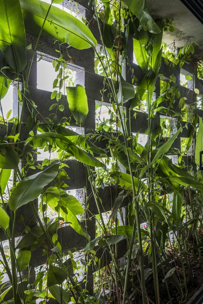 Lớp thảm thực vật xanh mát cũng giúp khách hàng tăng cường sự thư giãn.