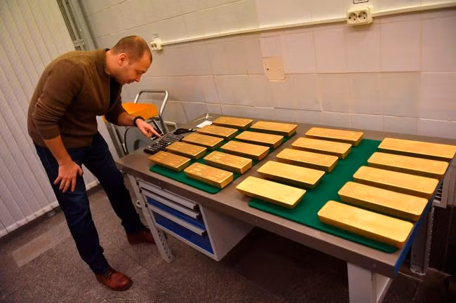 Một thanh vàng có trọng lượng thực tế của nó lên tới khoảng 12-13kg. Ảnh: Rbth