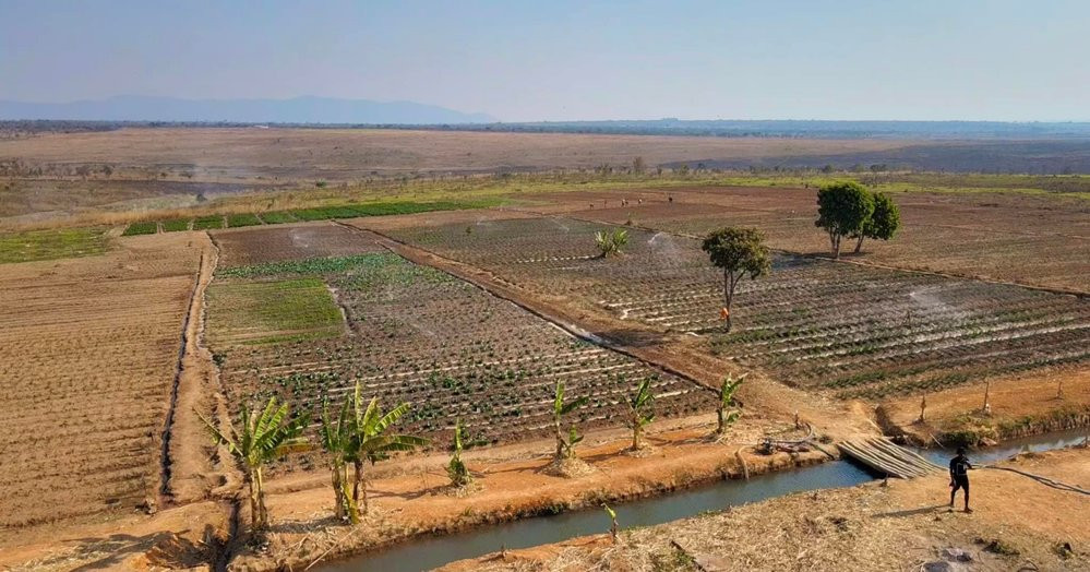 Trước đó, vào hồi tháng 5, Quang Linh Vlog tiết lộ anh tậu 14ha đất hoang để cải tạo làm trang trại tại Angola. Anh mong muốn sẽ gây dựng được nông trại lớn nhất vùng trồng nhiều nông sản như ngô, lúa, hành, rau củ... và chăn nuôi cừu, dê.