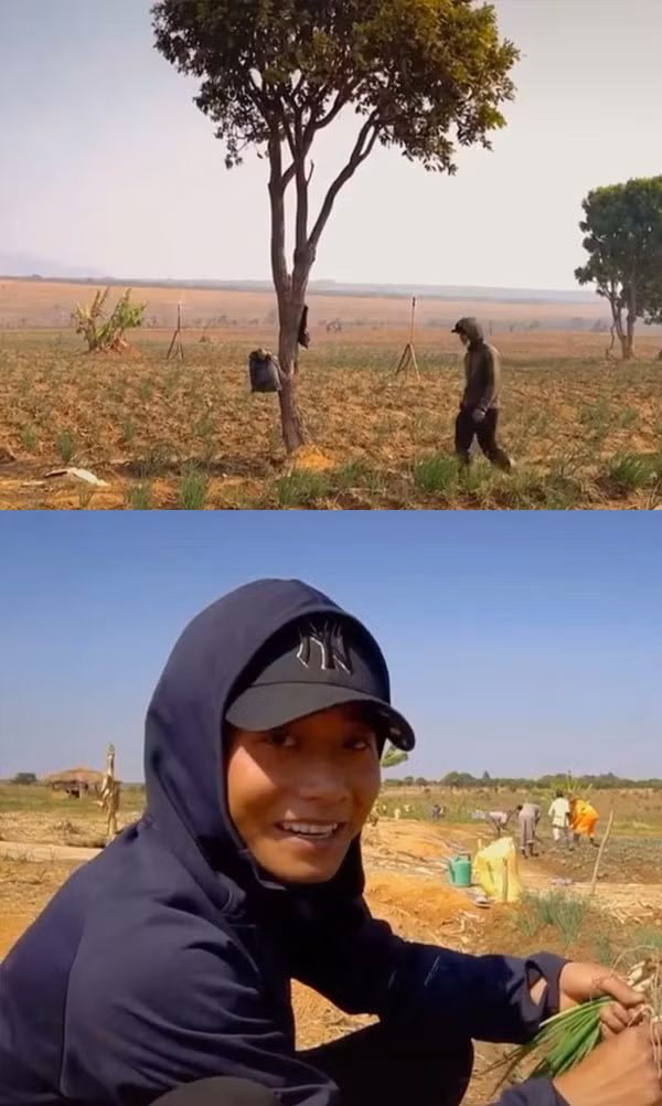 Khung cảnh trang trại của Quang Linh rất yên bình. Nguồn ảnh: Chụp màn hình TikTok Phạm Quang Linh