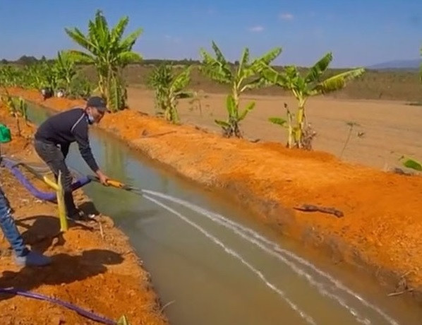 Ngoài ra, Quang Linh còn tự làm kênh mương để có hệ thống tưới nước cho nông trại.