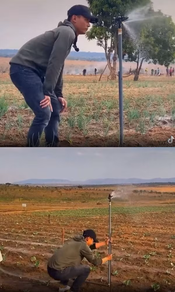 Quang Linh còn tận tay cắm vòi phun tưới tiêu cho cây trồng.