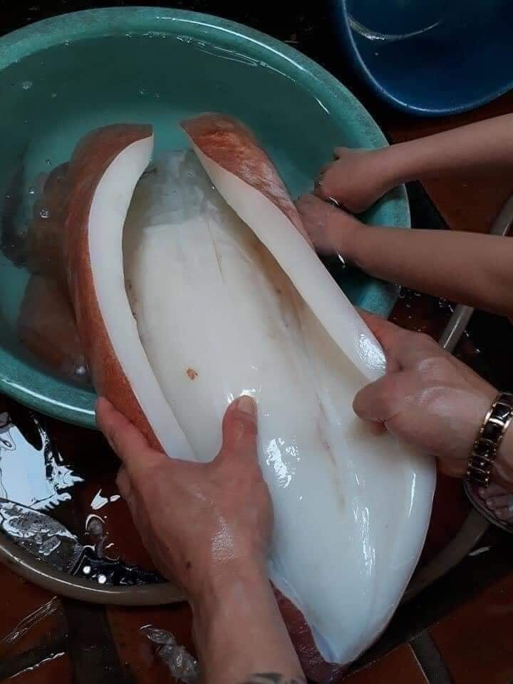 Trước đó, mực xà đại dương cũng từng gây sốt thị trường khi có giá siêu rẻ chỉ từ 90.000 đồng/kg. Ảnh: Facebook