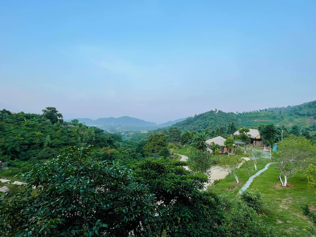 Không gian sống ngập tràn màu xanh, quá đỗi yên bình của Việt Hoàn và vợ con. Ảnh: Vietnamnet