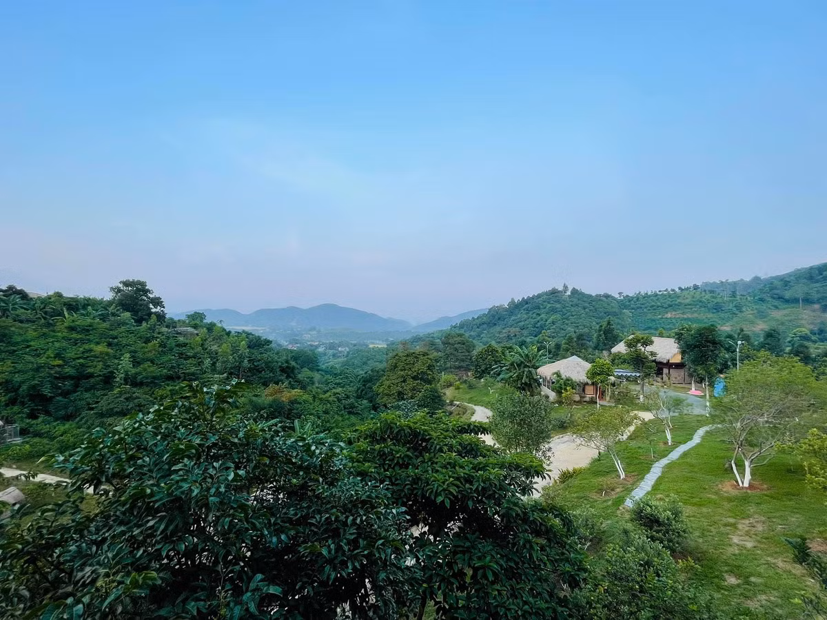 Không gian sống ngập tràn màu xanh, quá đỗi yên bình của Việt Hoàn và vợ con. Ảnh: Vietnamnet